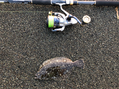 本命だけどチョット違う