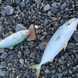 サイズが小さい