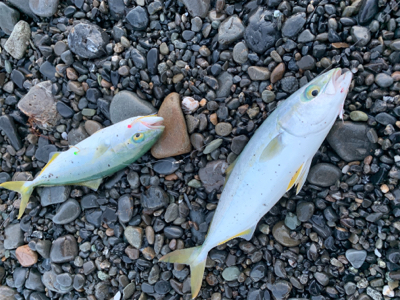 サイズが小さい