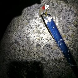 太刀魚シーズンイン