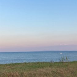 マゴチフィッシング