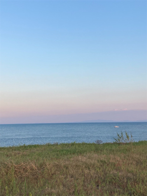 マゴチフィッシング