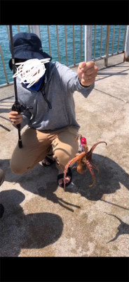 昼間でもタコ！