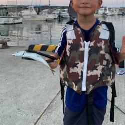 堤防でイシガキダイ！