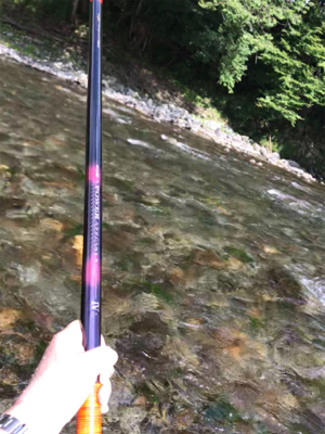 安曇川村井橋上流