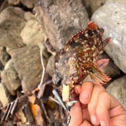 日本海最高‼️