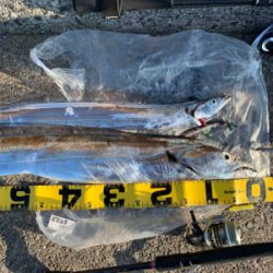 粘って意地のドラゴン‼︎