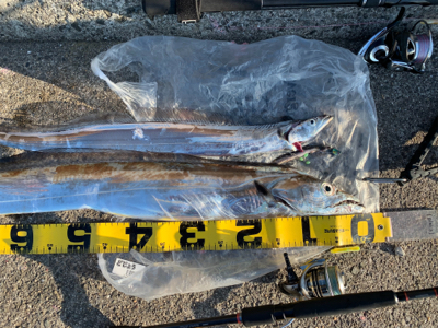 粘って意地のドラゴン‼︎