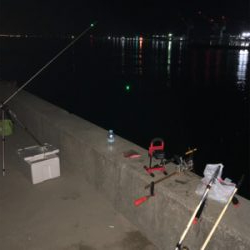 豆アジゲット❗️