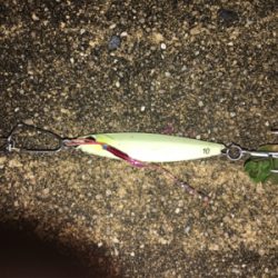 ウナギ！！……じゃないわコレ