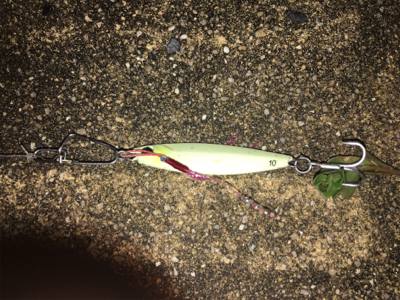 ウナギ！！……じゃないわコレ