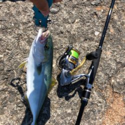 盆休み最終日は加太大波止で青物！