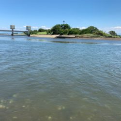 暑いけどDAYはいい