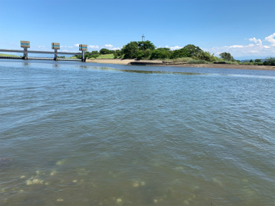 暑いけどDAYはいい