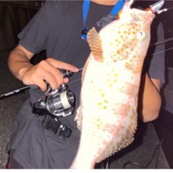 串本ディープロックゲーム♪