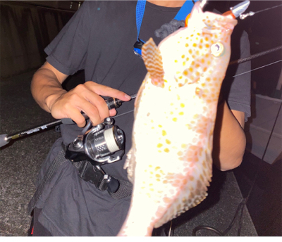 串本ディープロックゲーム♪