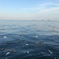 青物調査3Day(1日目)