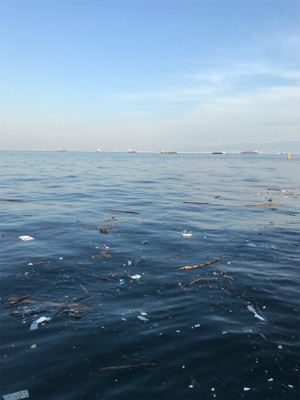 青物調査3Day(1日目)