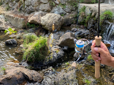 カワムツしか釣れない