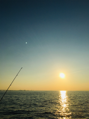 お子様ドラゴン