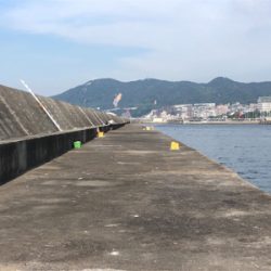 40年振りの渡堤