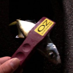 フロートアジング