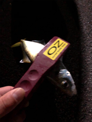 フロートアジング