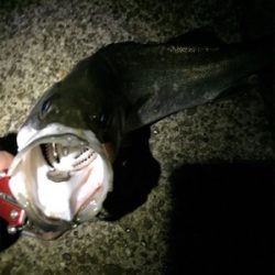 諦めかけてたその時にやっと