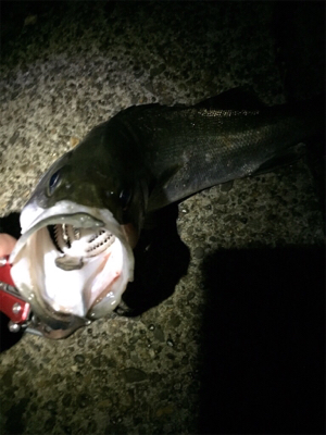 諦めかけてたその時にやっと