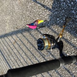 なかなかやねぇ