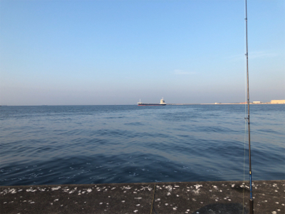 人生初のサワラ