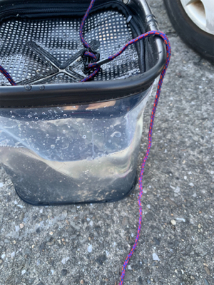 サビキとジグサビキ