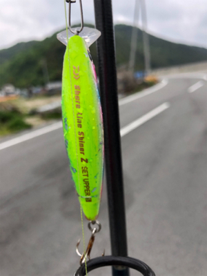 サバゲー化してきた