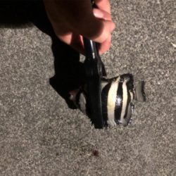 ライトゲームでまさかのタチウオ