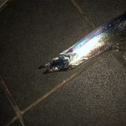 皆さん急いでー