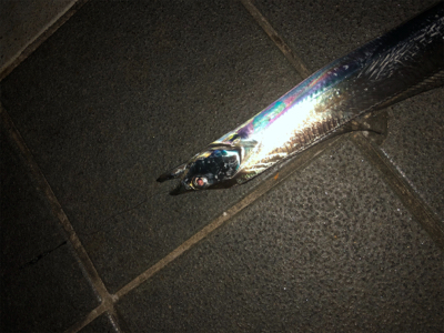 皆さん急いでー