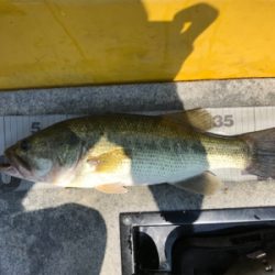 1日ボート釣行！