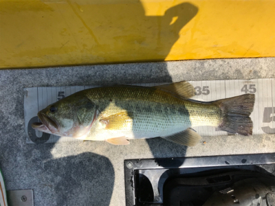 1日ボート釣行！