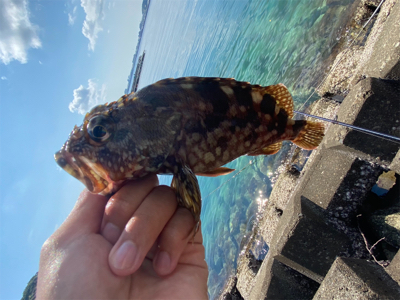 串本ロックゲーム‼︎