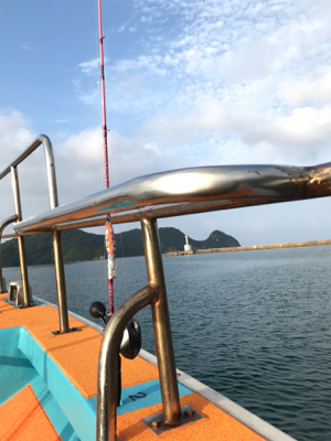 4年ぶりのイカメタル