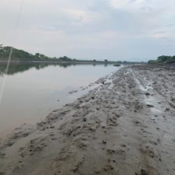 朝マズメ〜夕まずめ