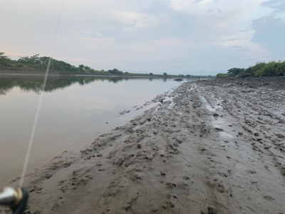 朝マズメ〜夕まずめ