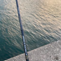 アジングの予定が