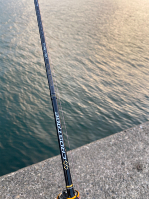 アジングの予定が