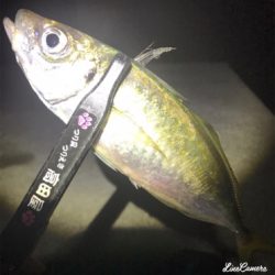 フロートアジング