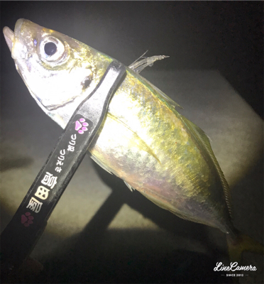 フロートアジング