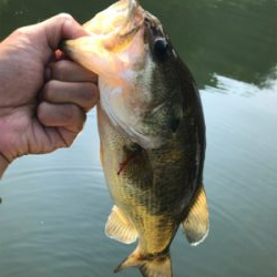 午前中ボート釣行！