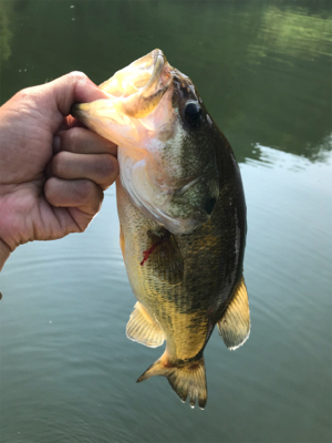 午前中ボート釣行！