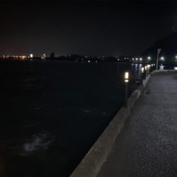 今日のアジング