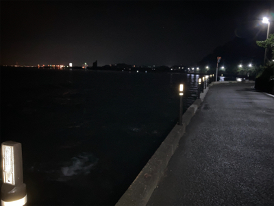 今日のアジング